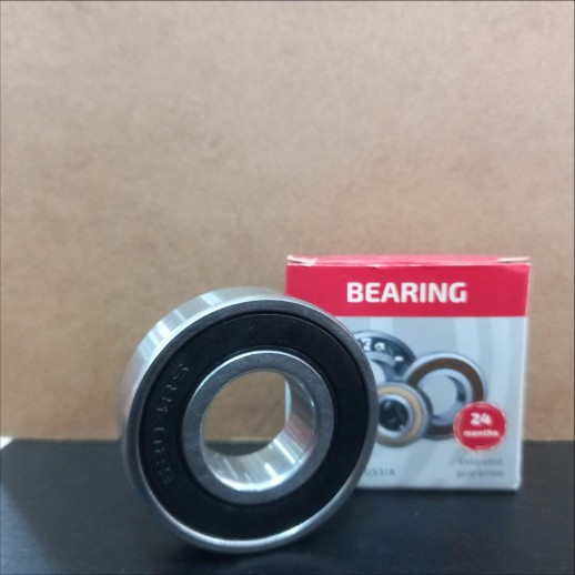 RULEMAN 6204-2RS
