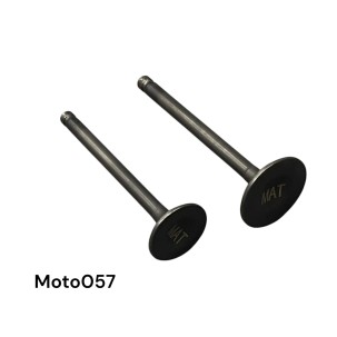 KIT VALULAS MOTONETA 110