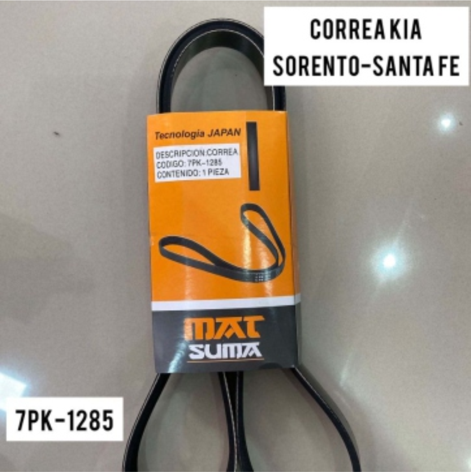 CORREA KIA SORENTO-STA FE