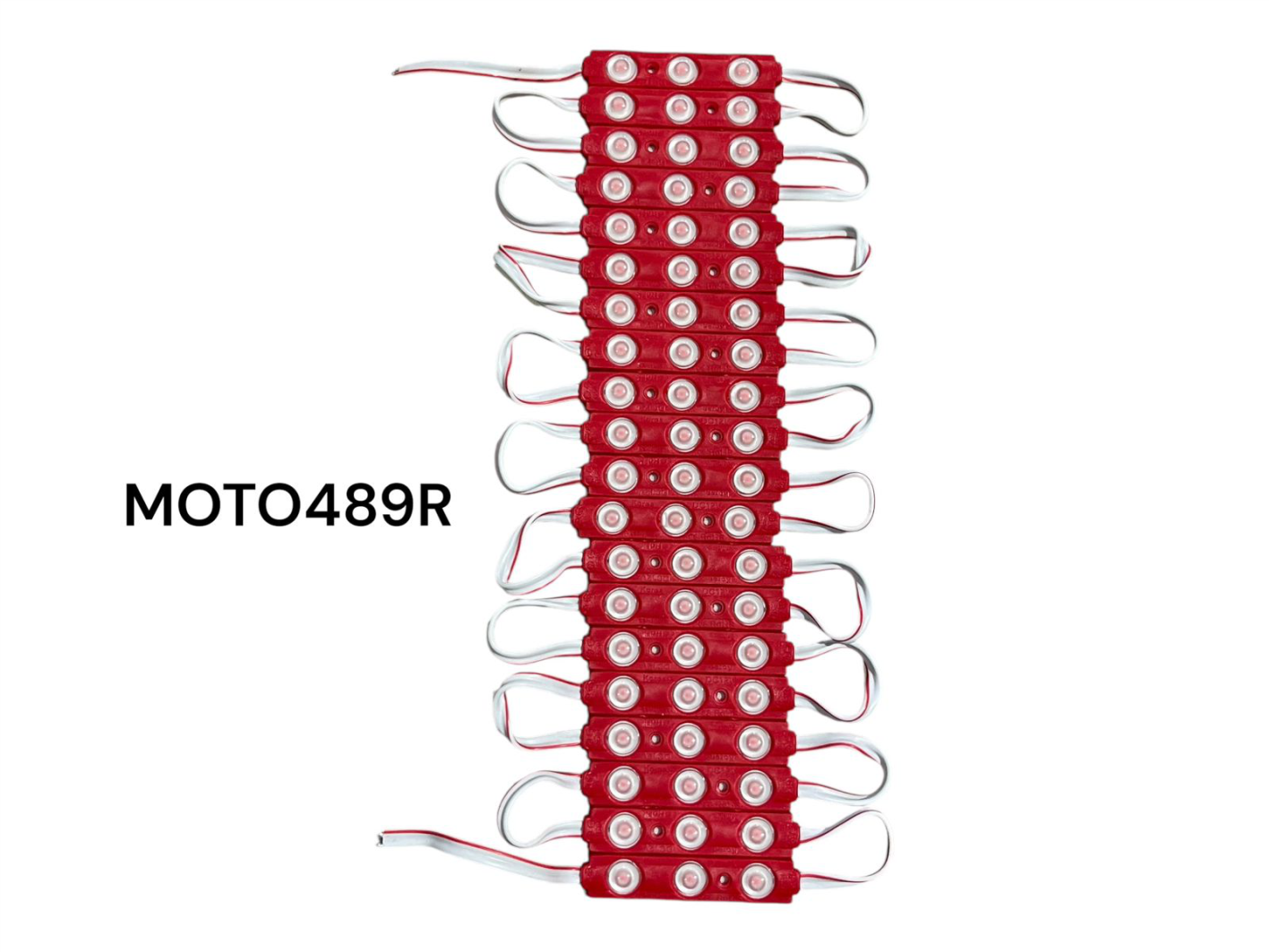 LUZ LED LUPITA ROJO (SET x20)